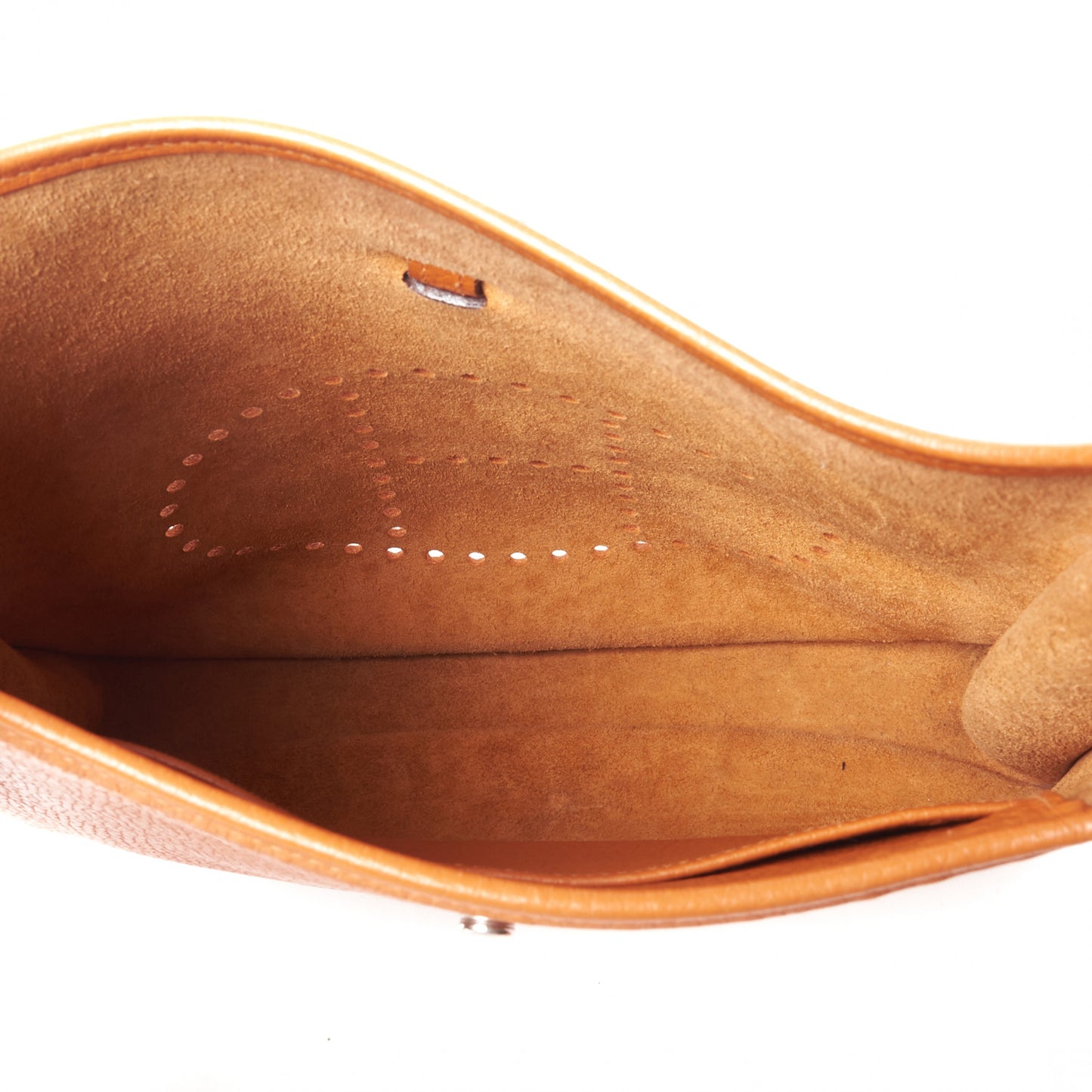 Taurillon Clemence Evelyne PM Orange