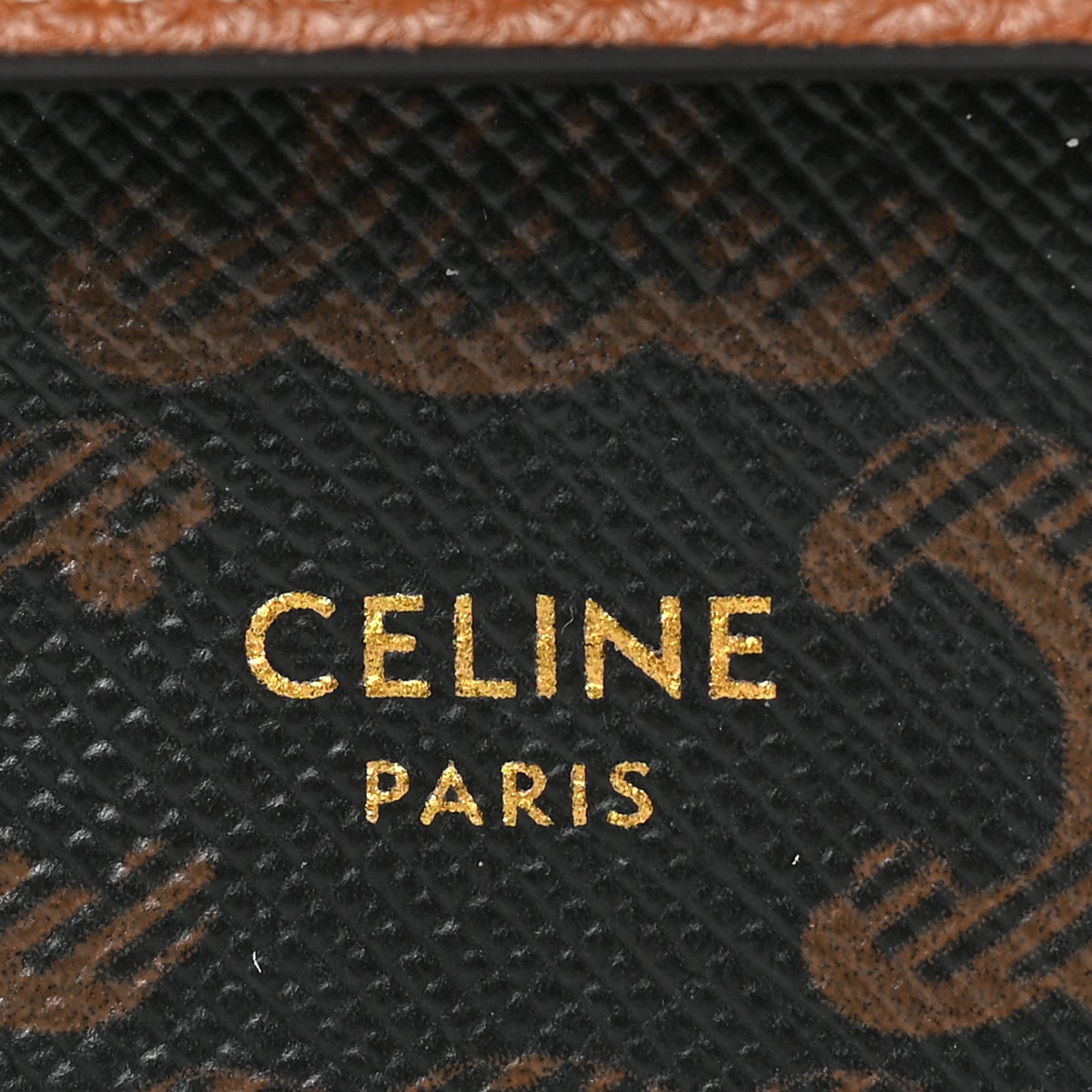 Triomphe Canvas Lambskin Wallet On Strap Tan