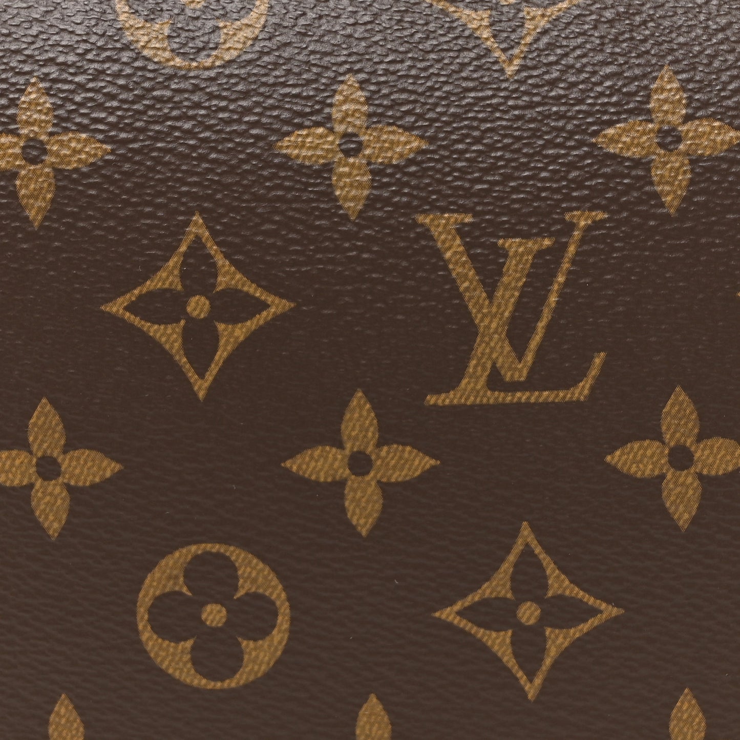 Reverse Monogram Loop Hobo