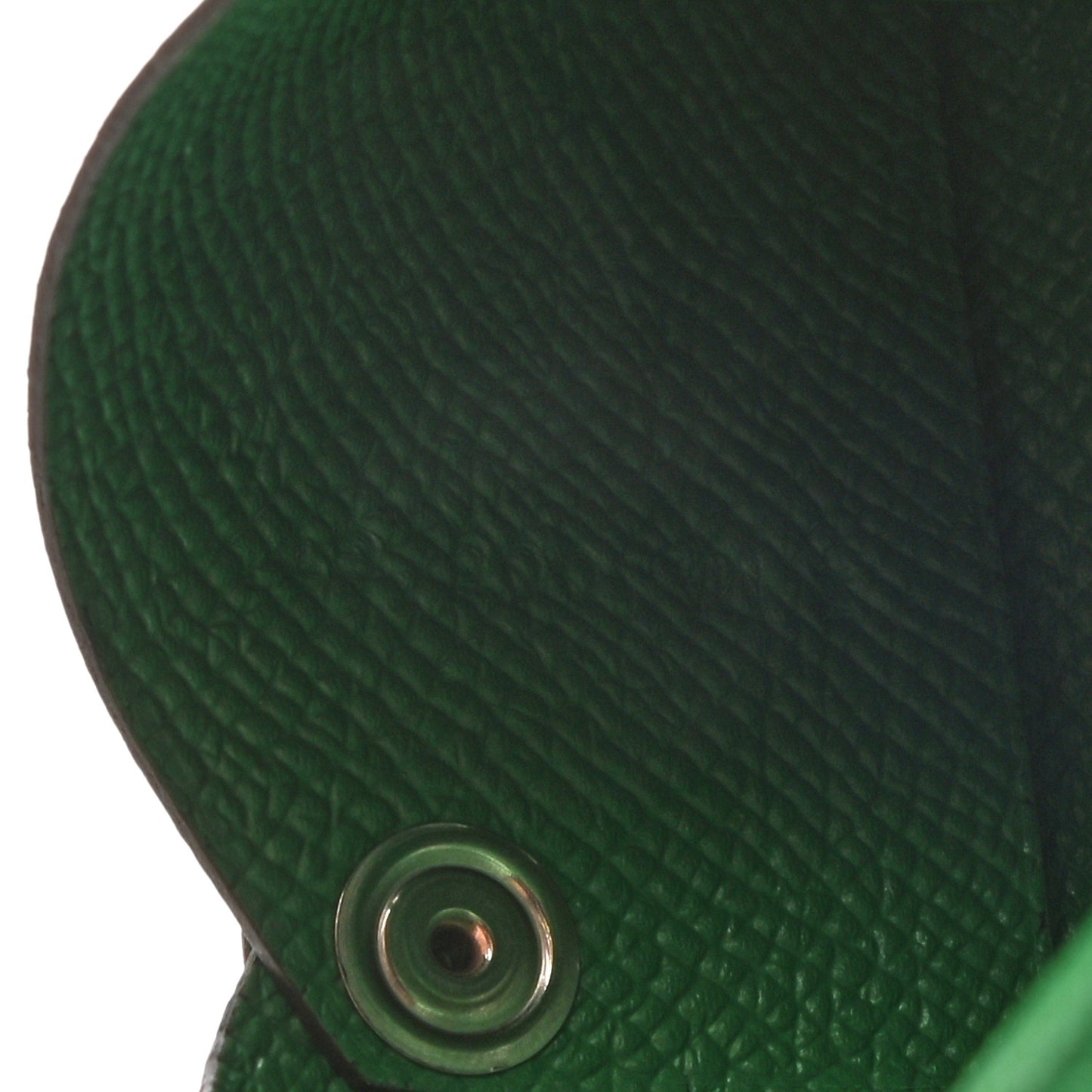 Epsom Calvi Card Case Cactus