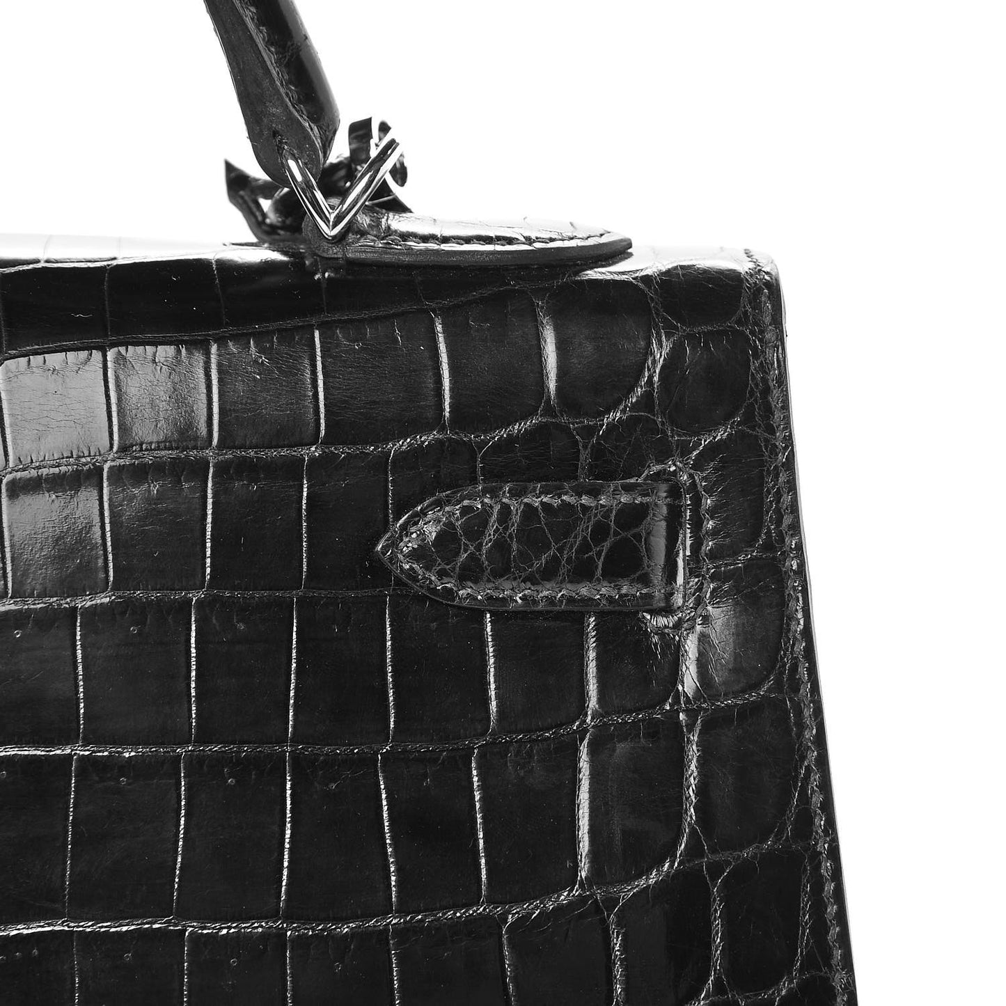 Shiny Niloticus Crocodile Kelly Sellier 32