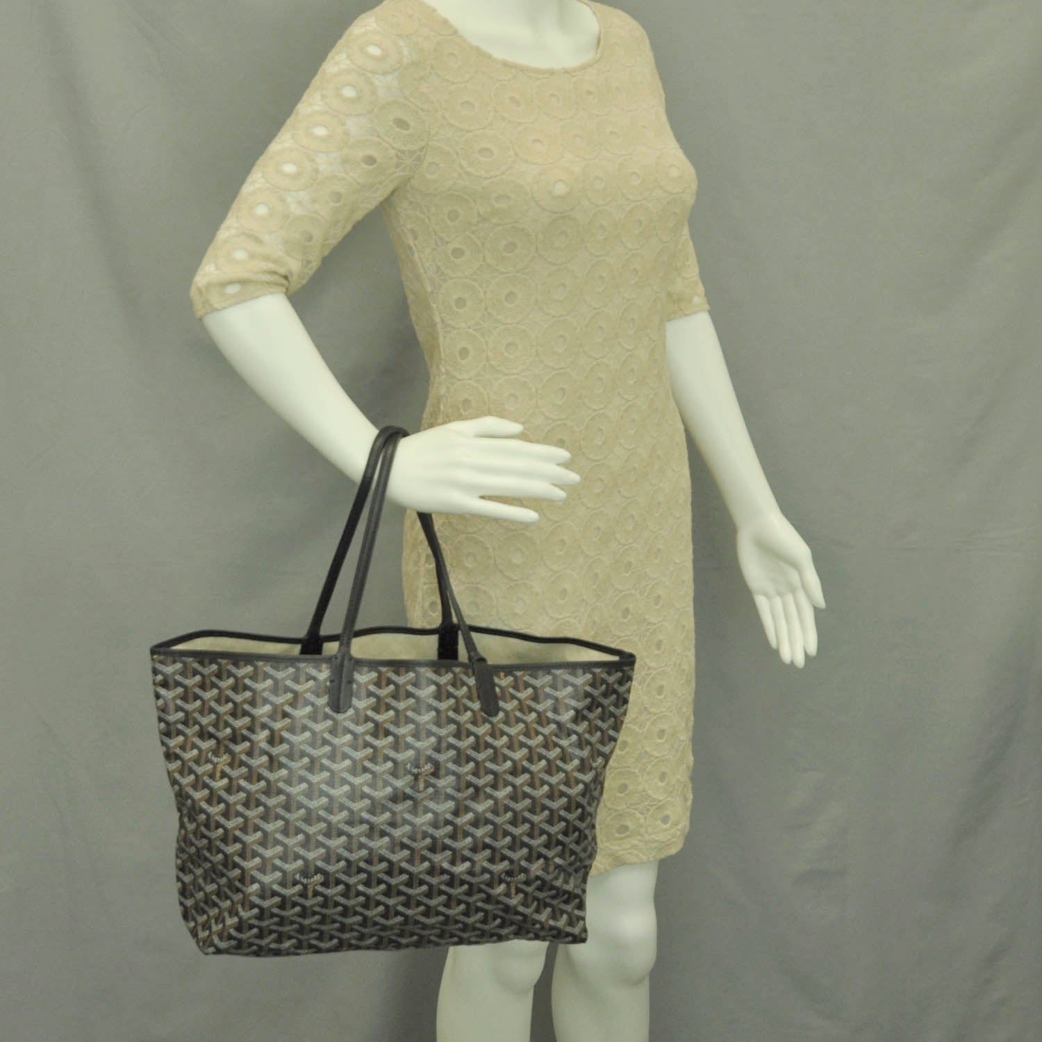 Goyard Goyardine Saint Louis PM Black 2 of 10