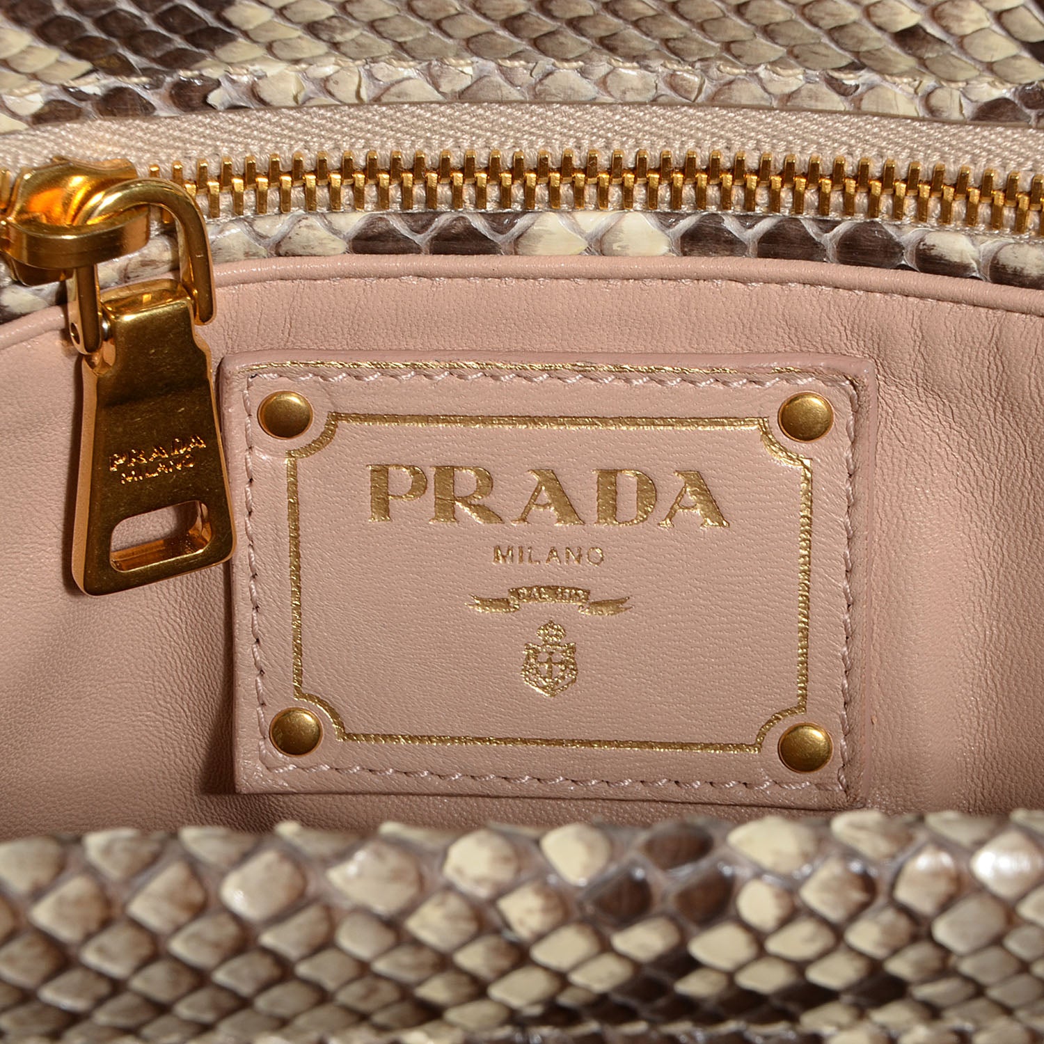 Prada Python Frame Bag Roccia 7 of 10