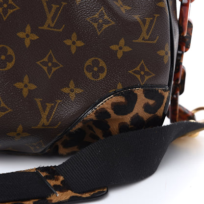 Louis Vuitton Monogram Leopard Stephen Bag 15 of 15