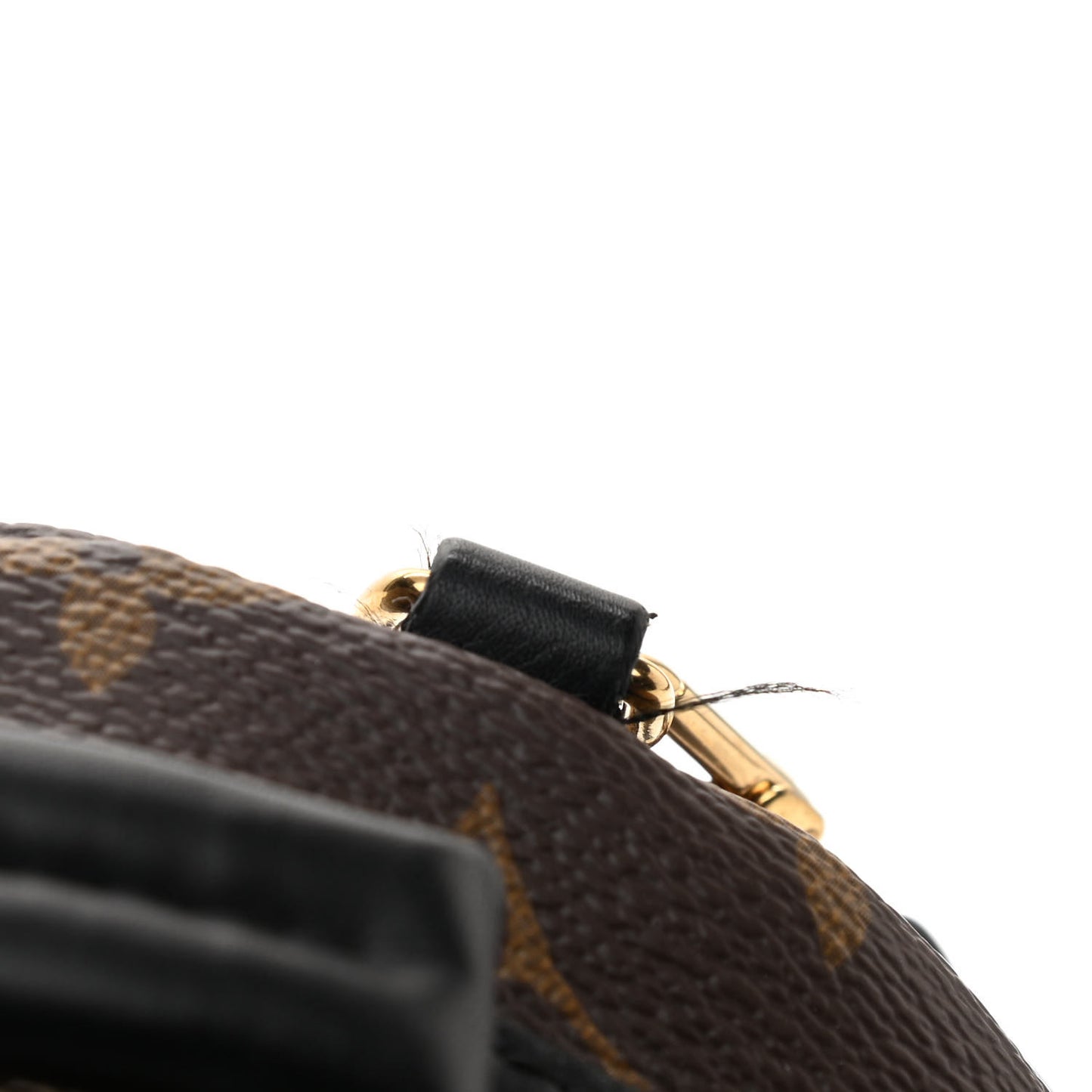 Monogram Palm Springs Backpack Mini