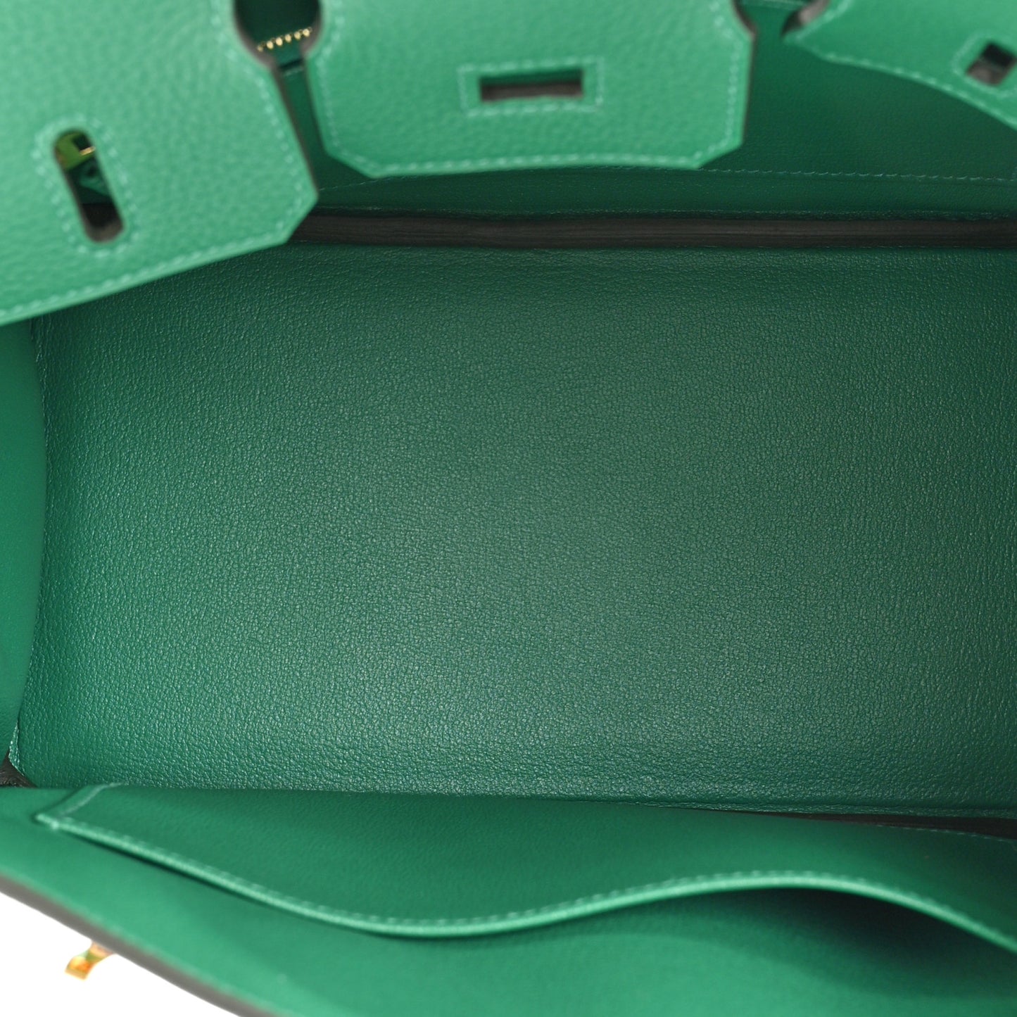Togo Birkin 25 Vert Vertigo