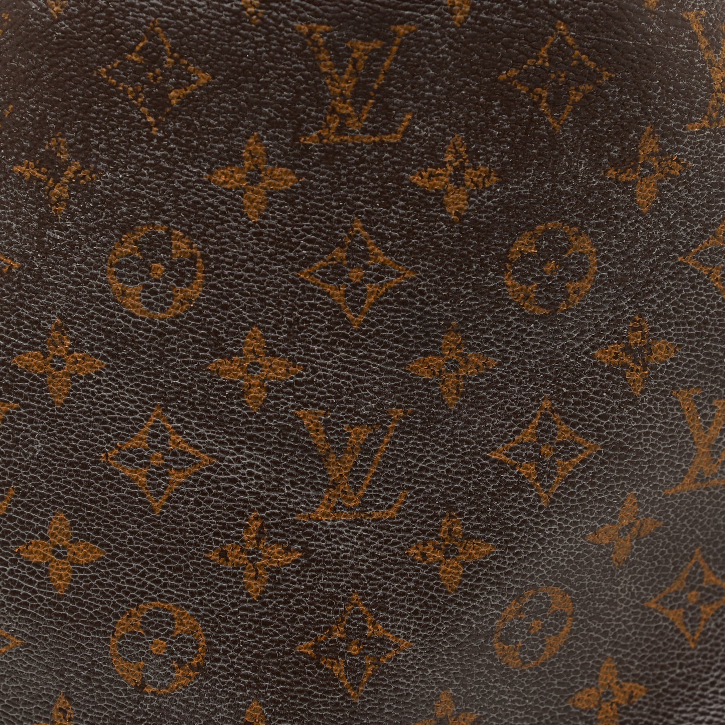 Monogram Delightful MM