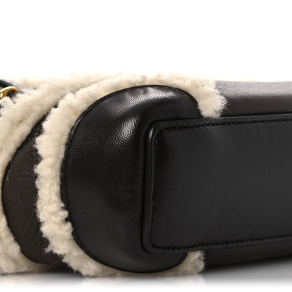 Bottega Veneta Calfskin Shearling Bang Bang Vanity Case Light Brown Teddy 9 of 11