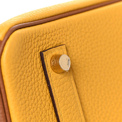 Hermes Togo Bi Color Horseshoe Birkin 35 Jaune Ambre Gold 7 of 34