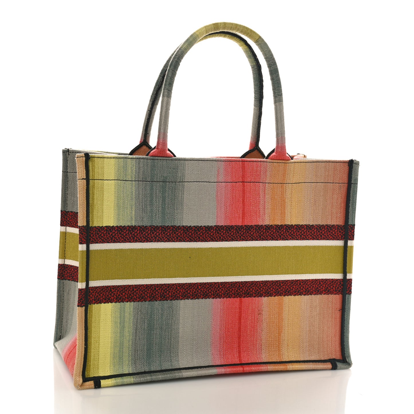 Canvas Embroidered Medium Dioraura Book Tote Multicolor