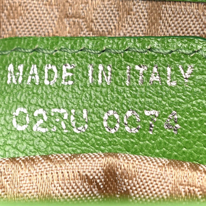 Christian Dior Calfskin Saddle Bag Green 6 of 15