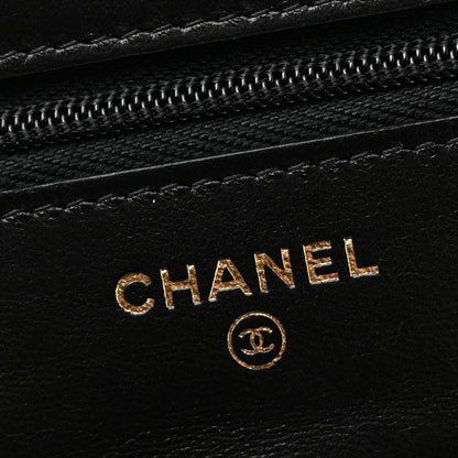 Chanel Lambskin Resin Quilted Wallet On Chain WOC Black 6 of 11