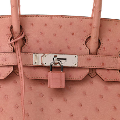 Hermes Ostrich Birkin 30 Terre Cuite 2 of 9