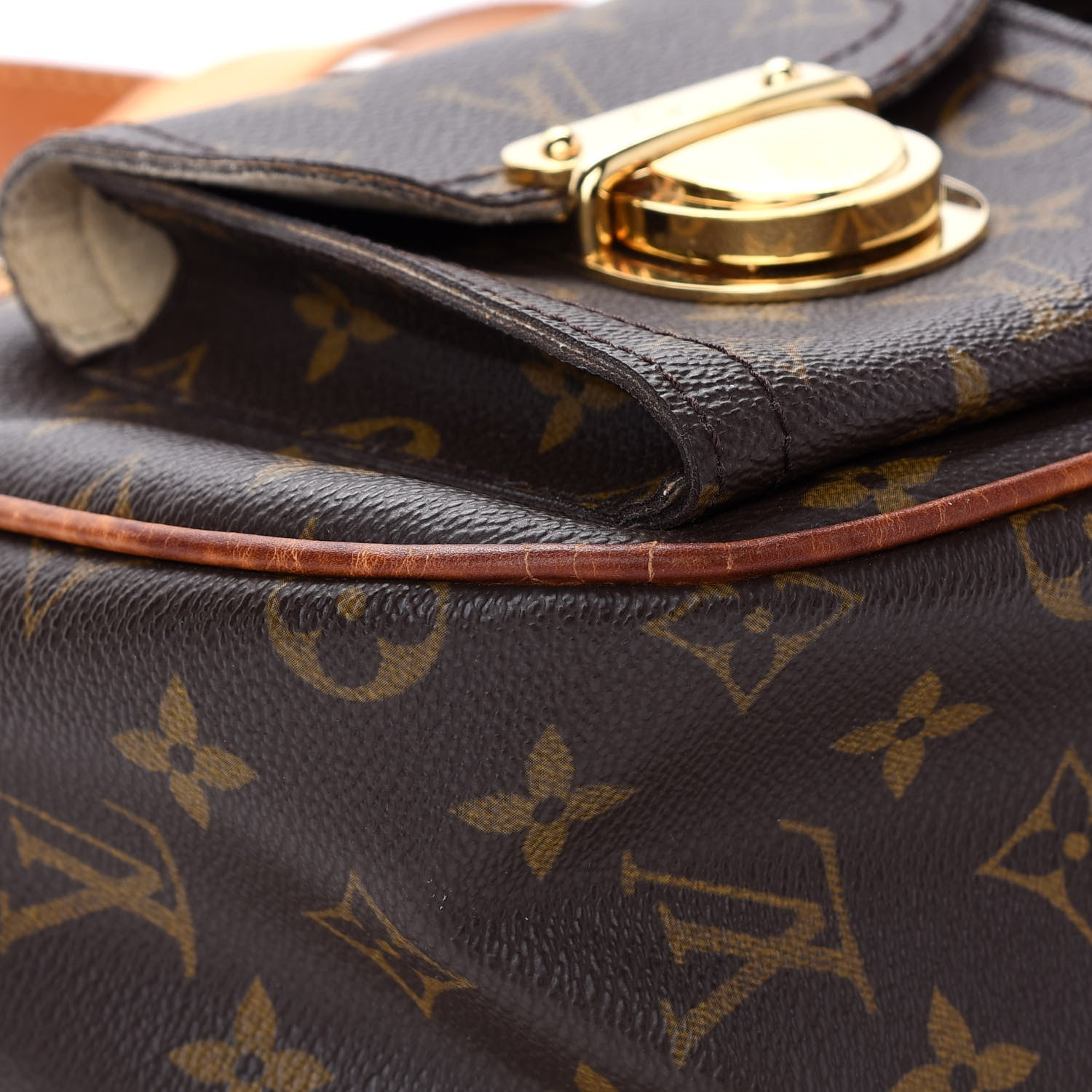 Louis Vuitton Monogram Hudson GM 11 of 13