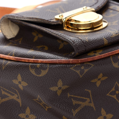 Louis Vuitton Monogram Hudson GM 11 of 13