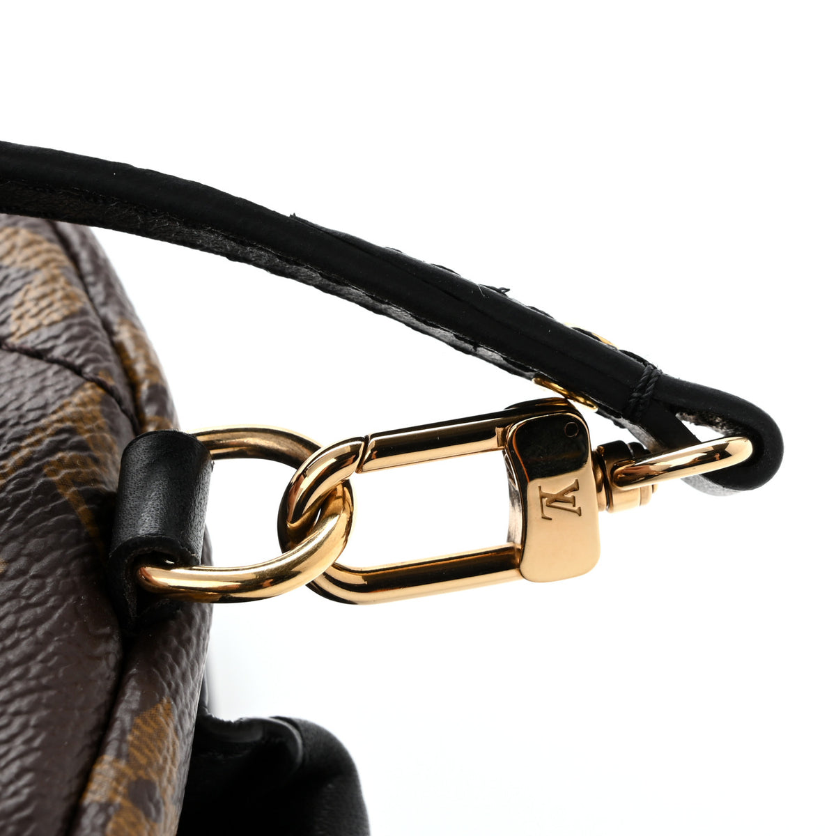 Monogram Palm Springs Backpack Mini
