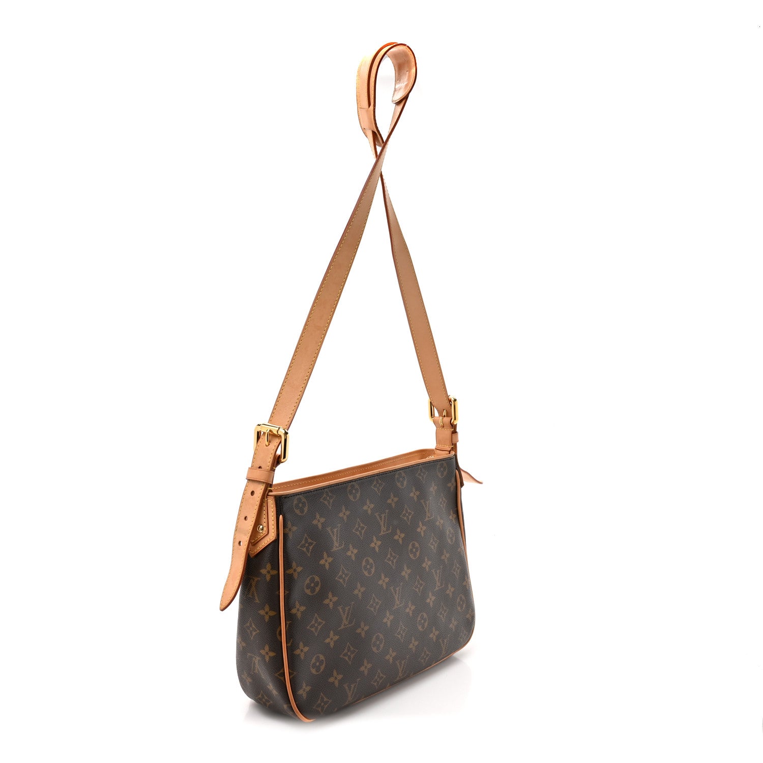 Louis Vuitton Monogram Hudson GM 4 of 31