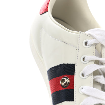Gucci Calfskin Ayers Web Womens Ace Bow Lace Sneakers 37.5 White 11 of 13