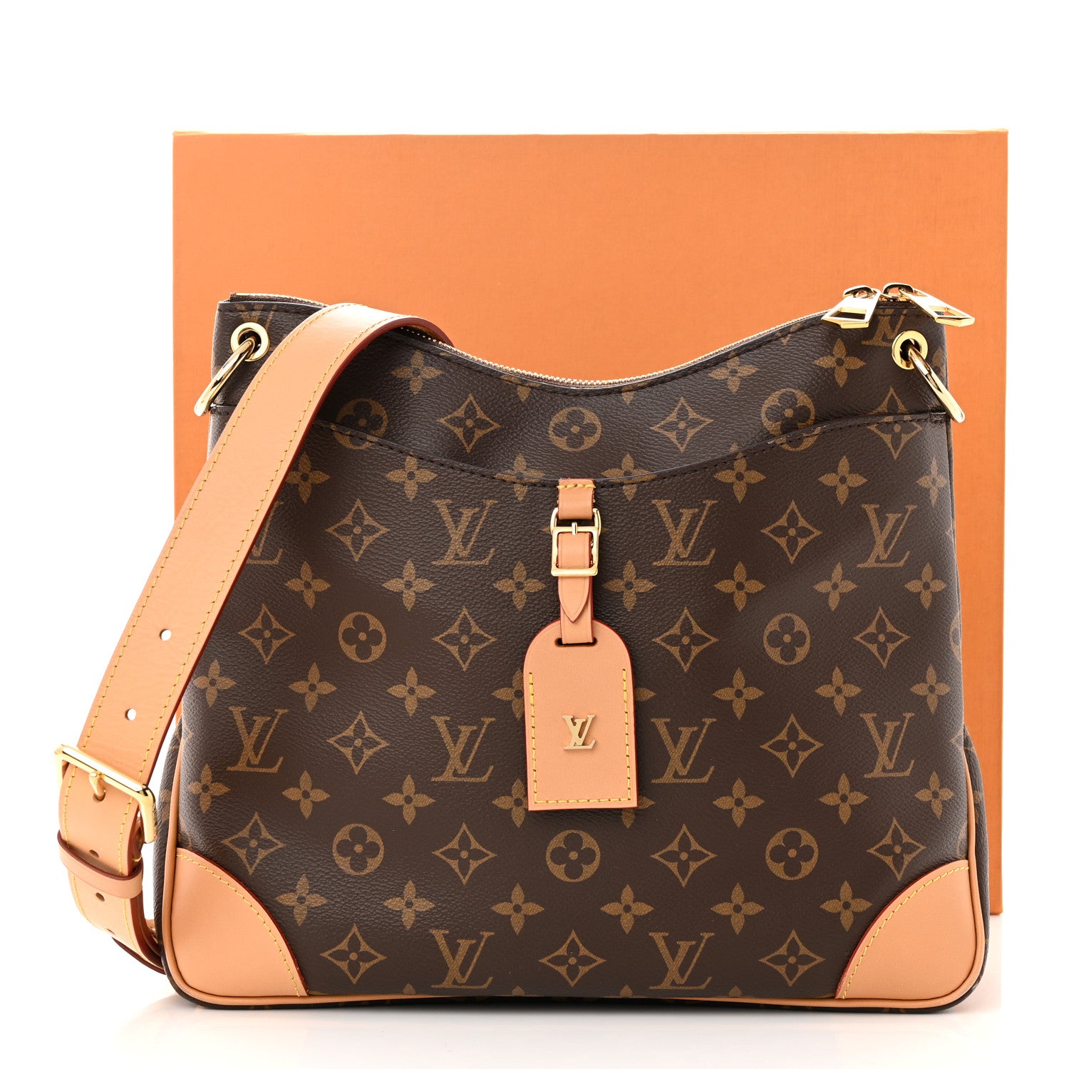 Louis Vuitton Monogram Odeon MM Natural 10 of 10