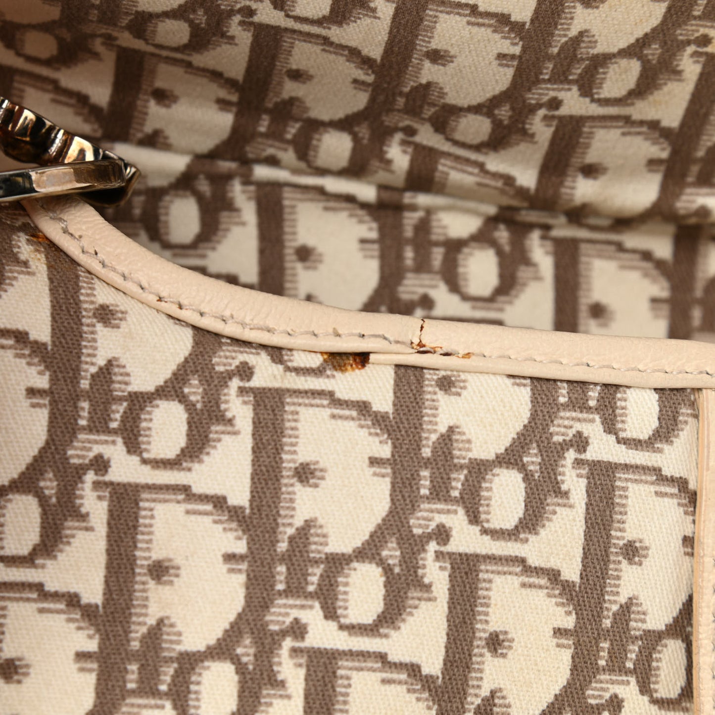 Monogram Vintage Flowers Saddle Bag Beige