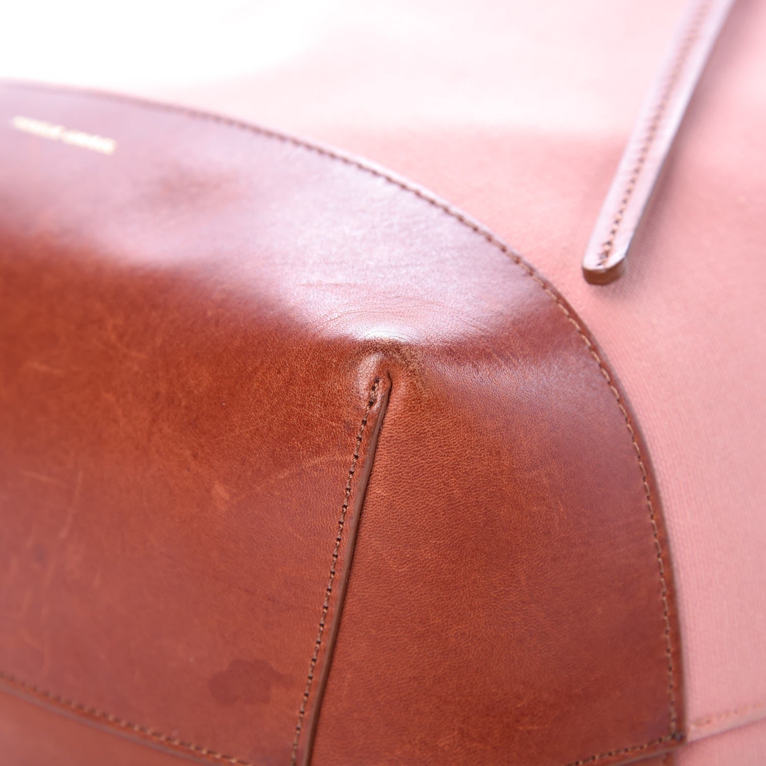 Mansur Gavriel Canvas Calfskin Bucket Bag Blush Moss 9 of 11