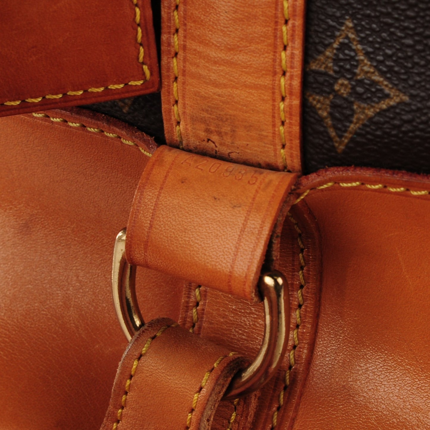 Monogram Randonnee GM Backpack