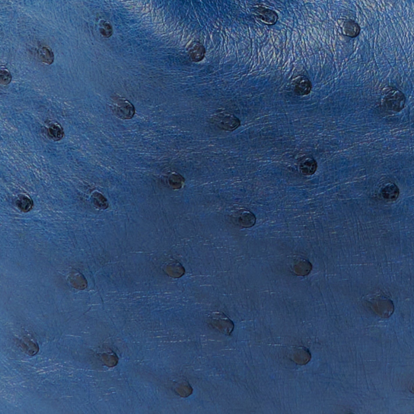 Ostrich Lindy 26 Bleu Iris