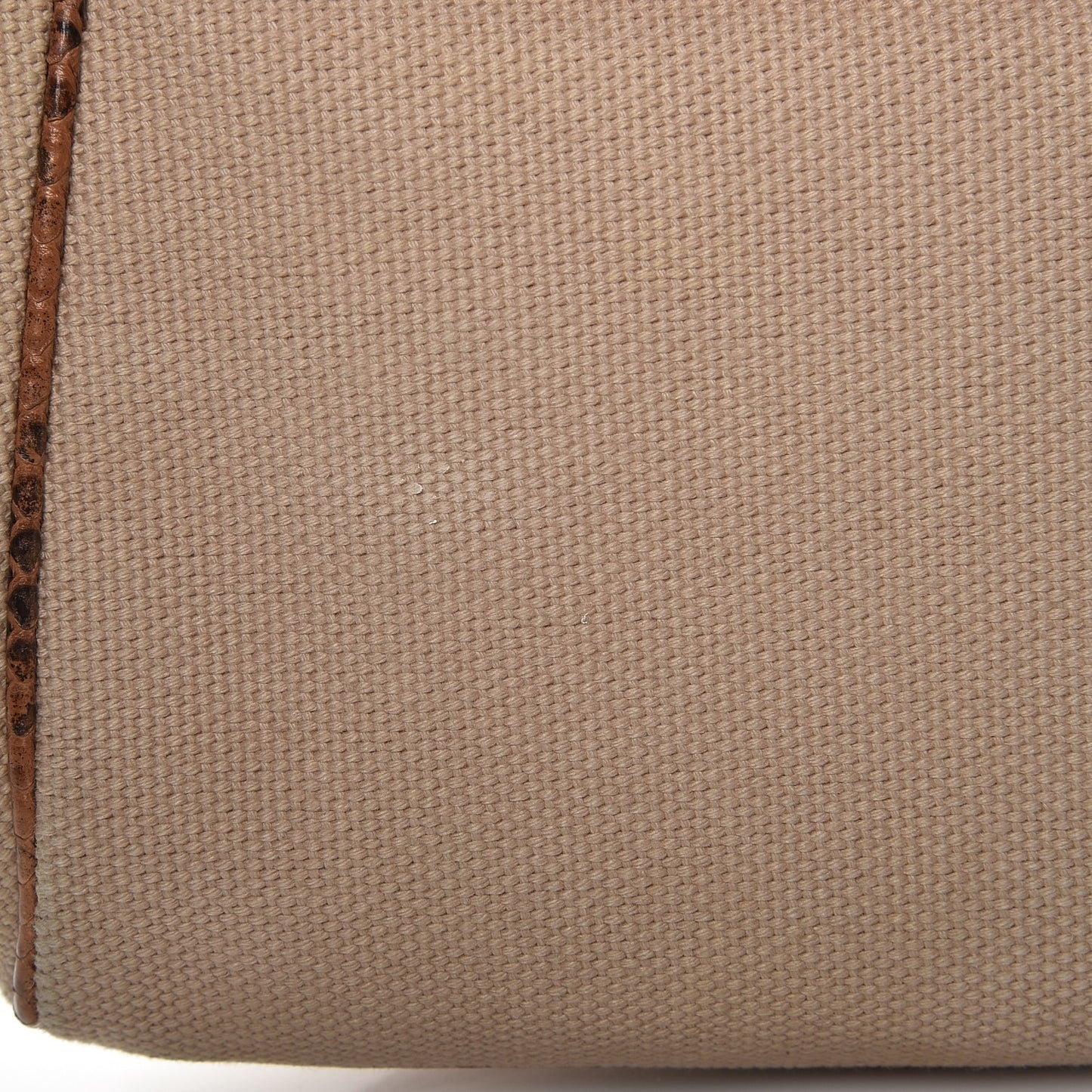 Python Canvas Flap Shoulder Bag