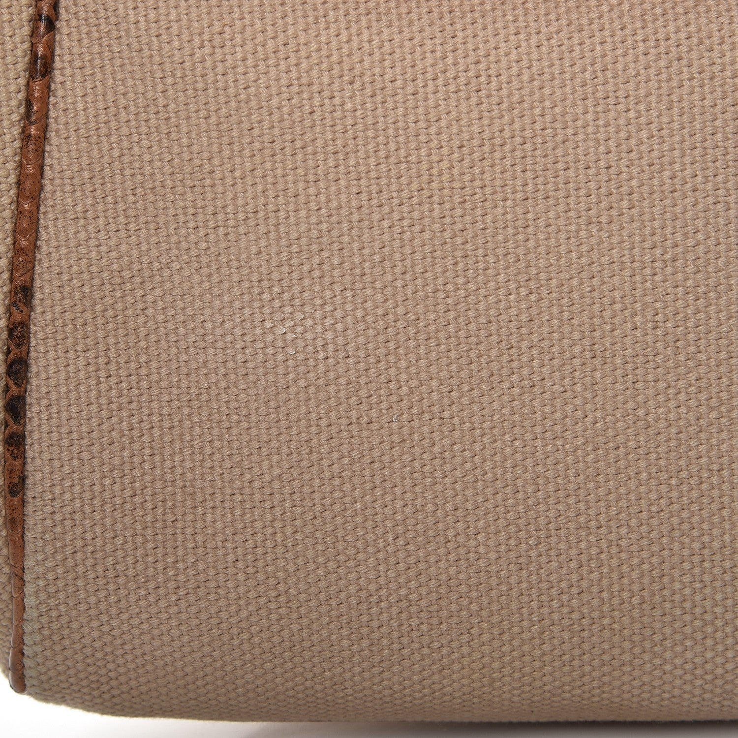 Chanel Python Canvas Flap Shoulder Bag 9 of 10