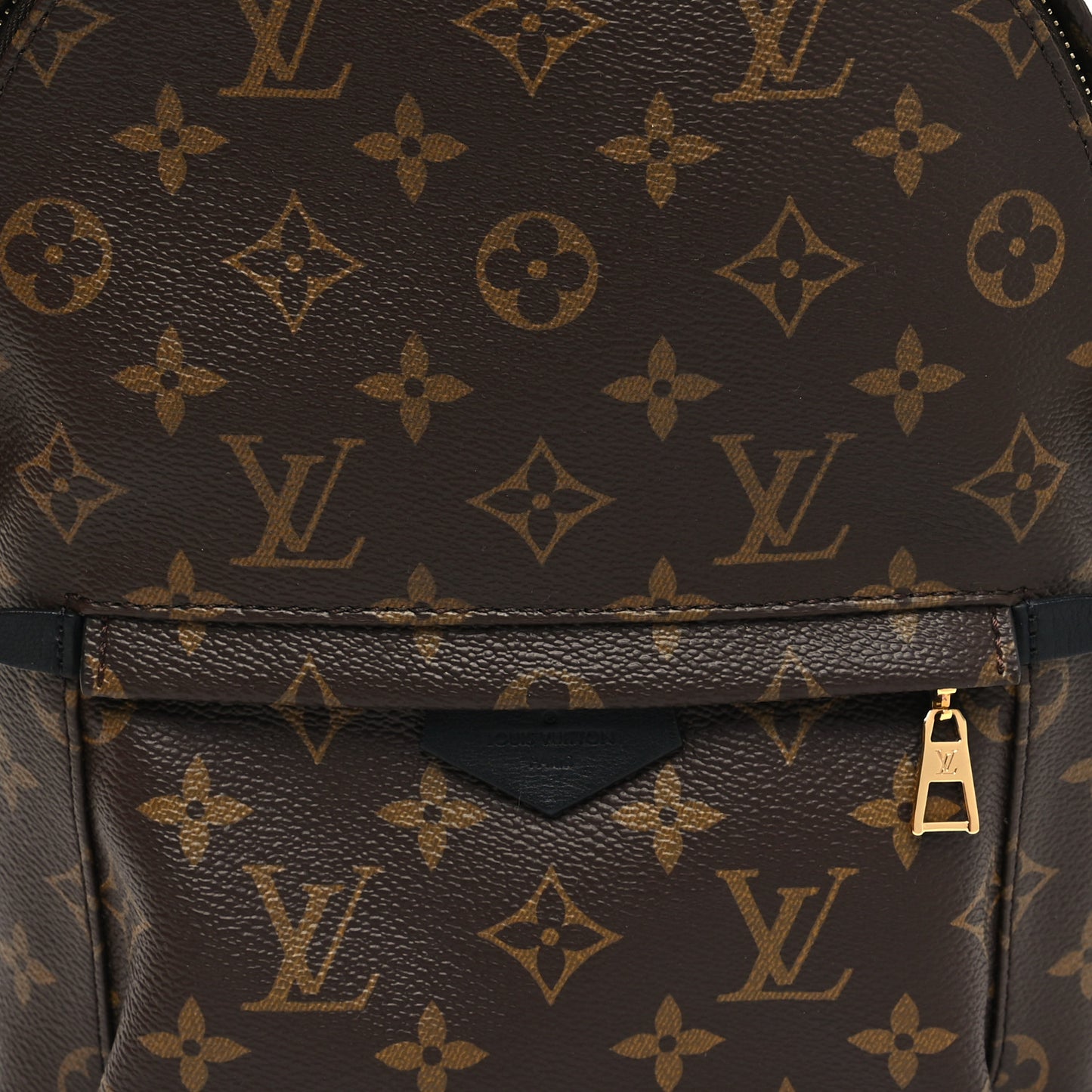Monogram Palm Springs Backpack PM