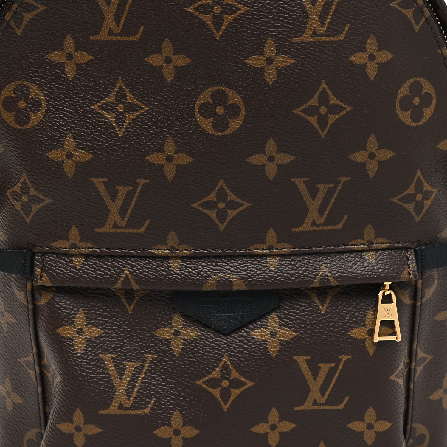 Louis Vuitton Monogram Palm Springs Backpack PM 8 of 11