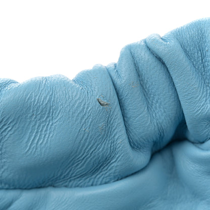 Mansur Gavriel Lambskin Mini Cloud Clutch Terme 10 of 11