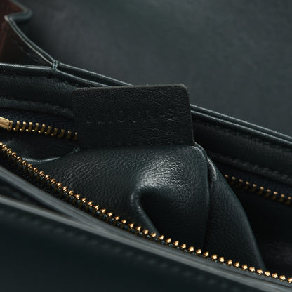 Celine Shiny Calfskin Medium Triomphe Amazone 9 of 11