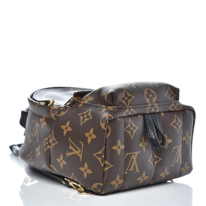 Louis Vuitton Monogram Palm Springs Backpack Mini 4 of 7