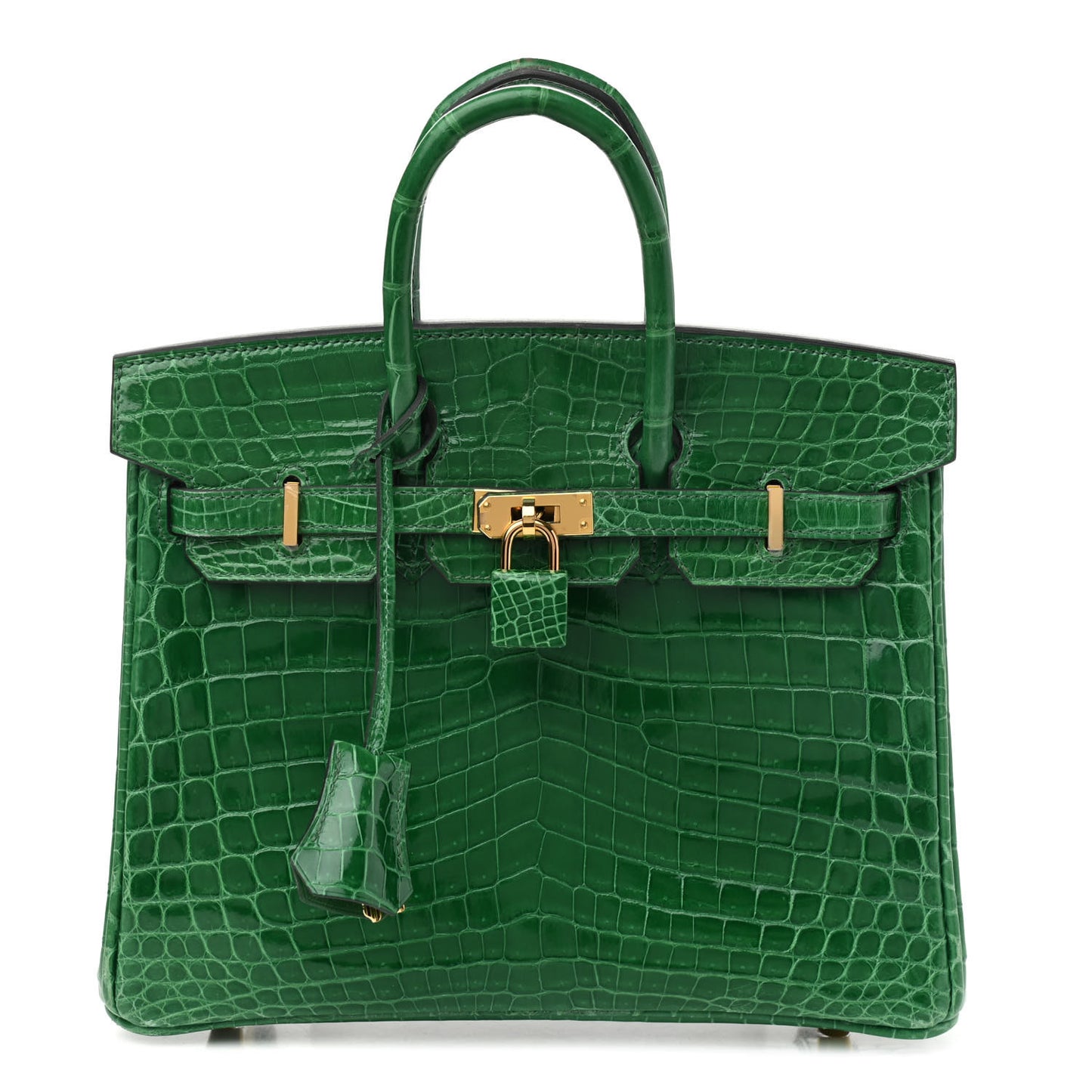 Shiny Niloticus Crocodile Birkin 25 Cactus