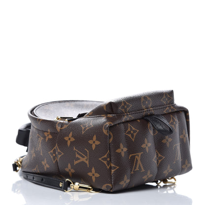 Louis Vuitton Monogram Palm Springs Backpack Mini 4 of 9
