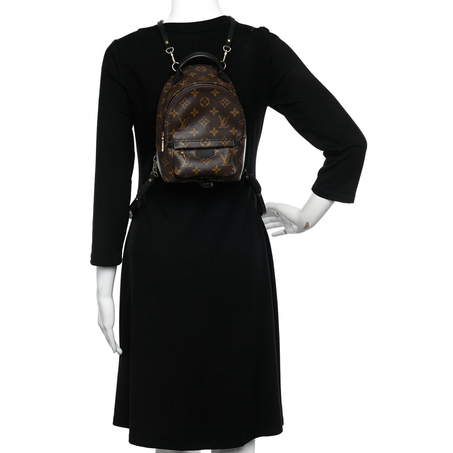 Monogram Palm Springs Backpack Mini