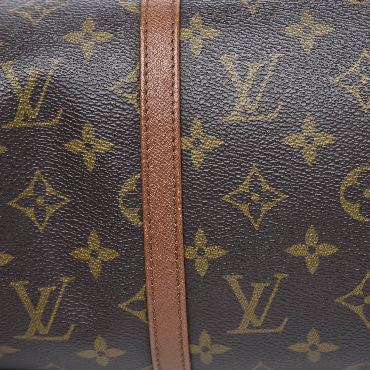 Monogram Papillon 30 With Companion