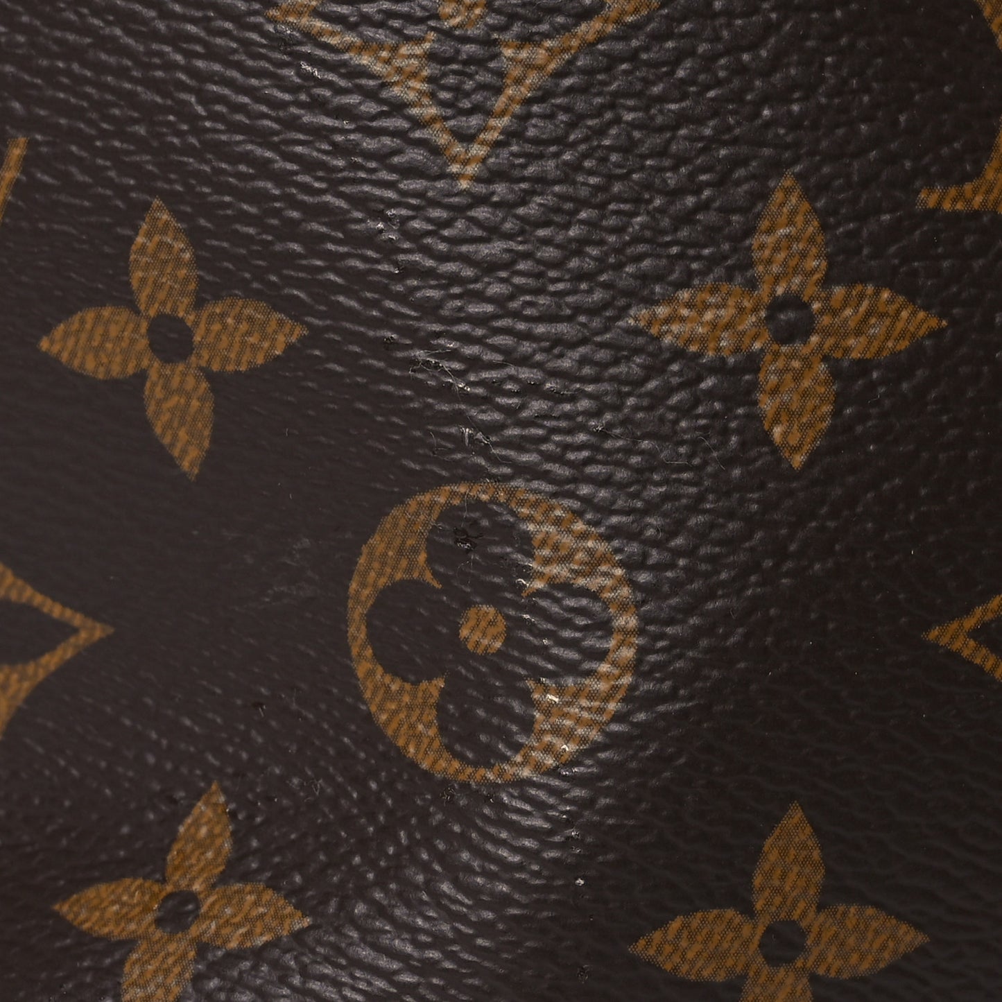 Monogram CarryAll PM