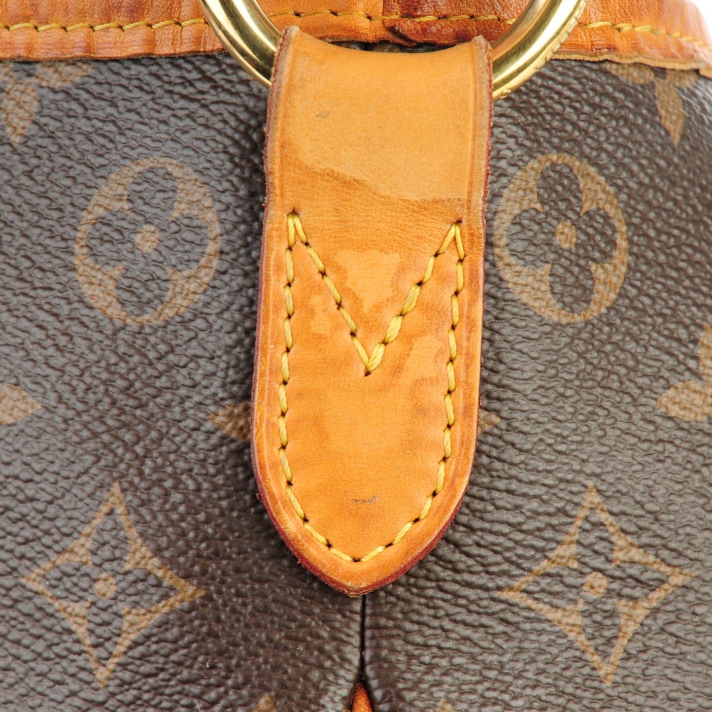 Monogram Delightful PM