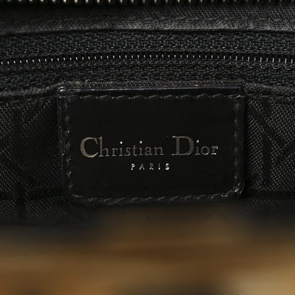 Christian Dior Canvas Leopard Print Large Lady Dior 6 of 11