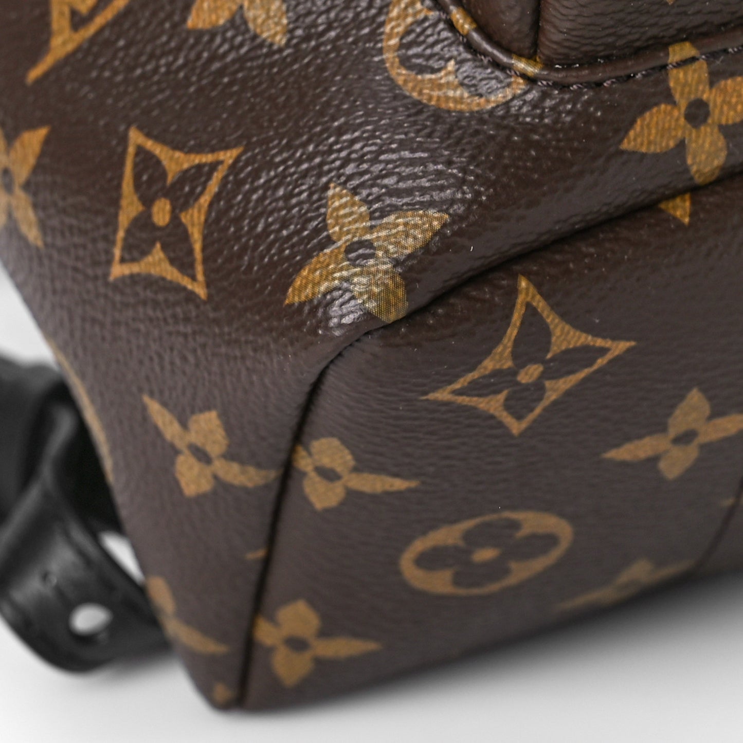 Monogram Palm Springs Backpack PM