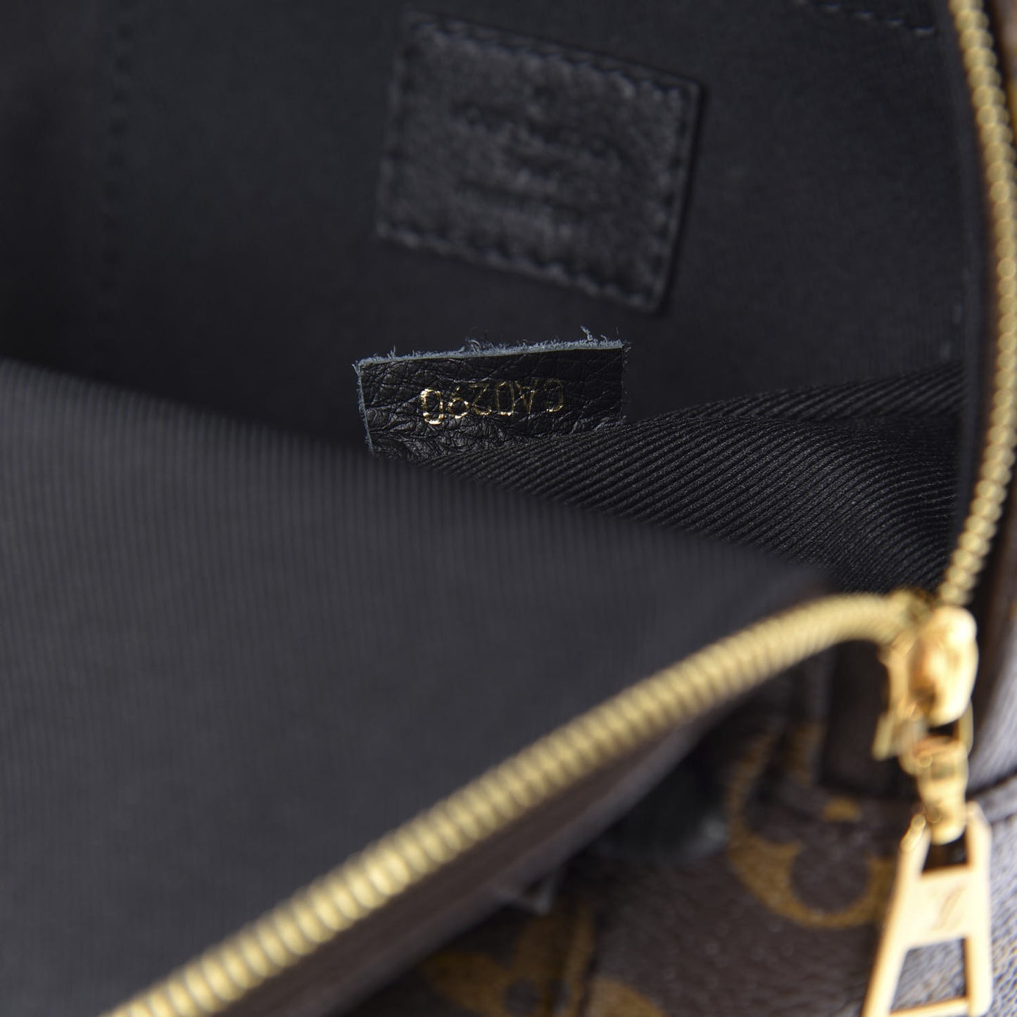 Monogram Palm Springs Backpack Mini