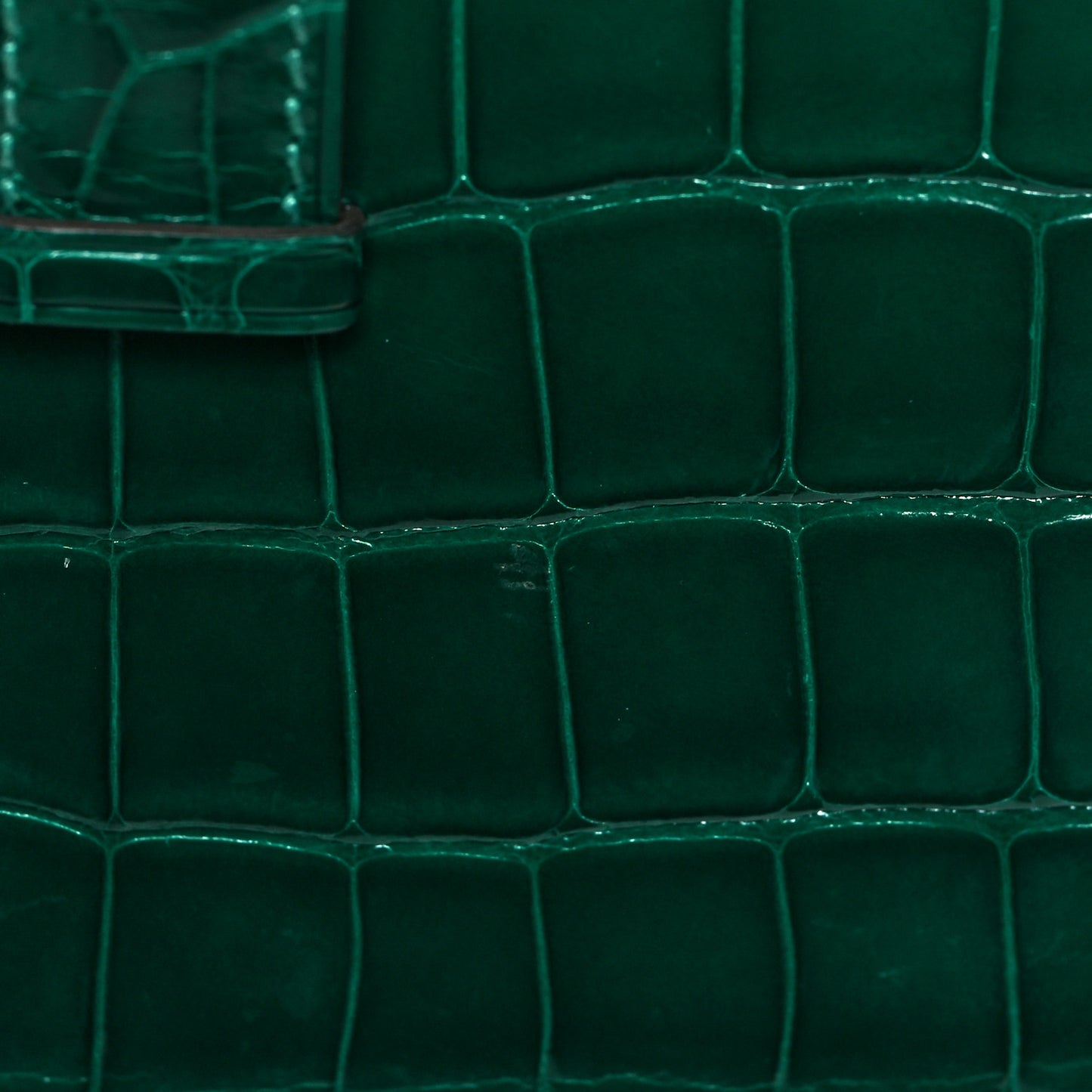 Shiny Alligator Bearn Compact Wallet Vert Emeraude