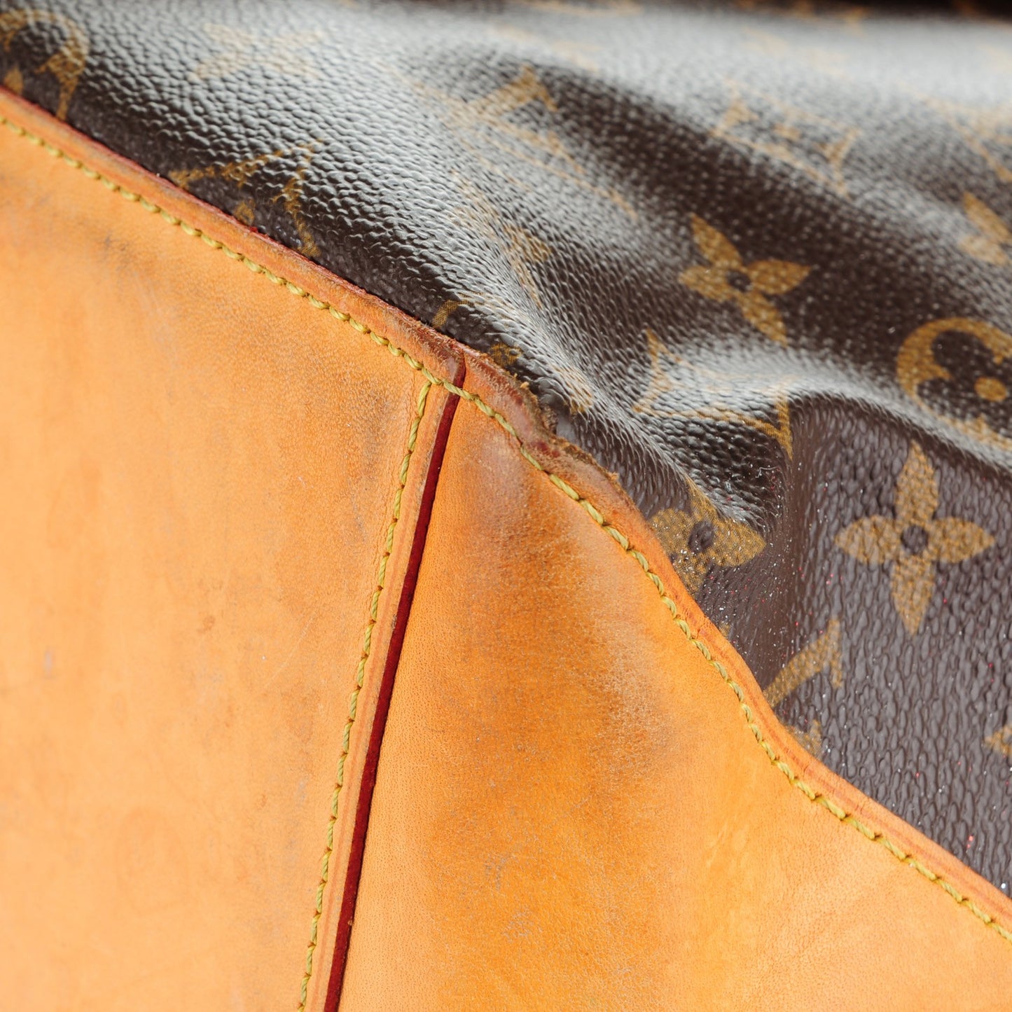 Monogram Cabas Mezzo