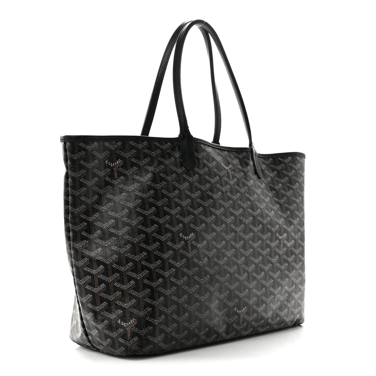 Goyard Goyardine Saint Louis PM Black 4 of 10