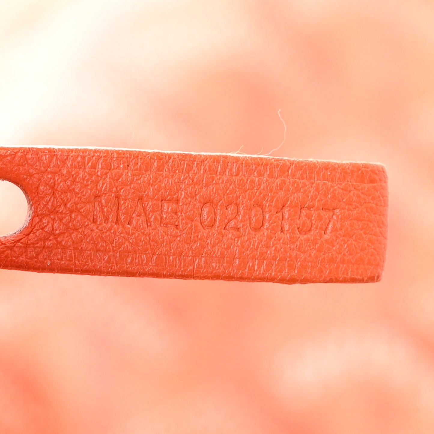 Goyardine Anjou GM Orange