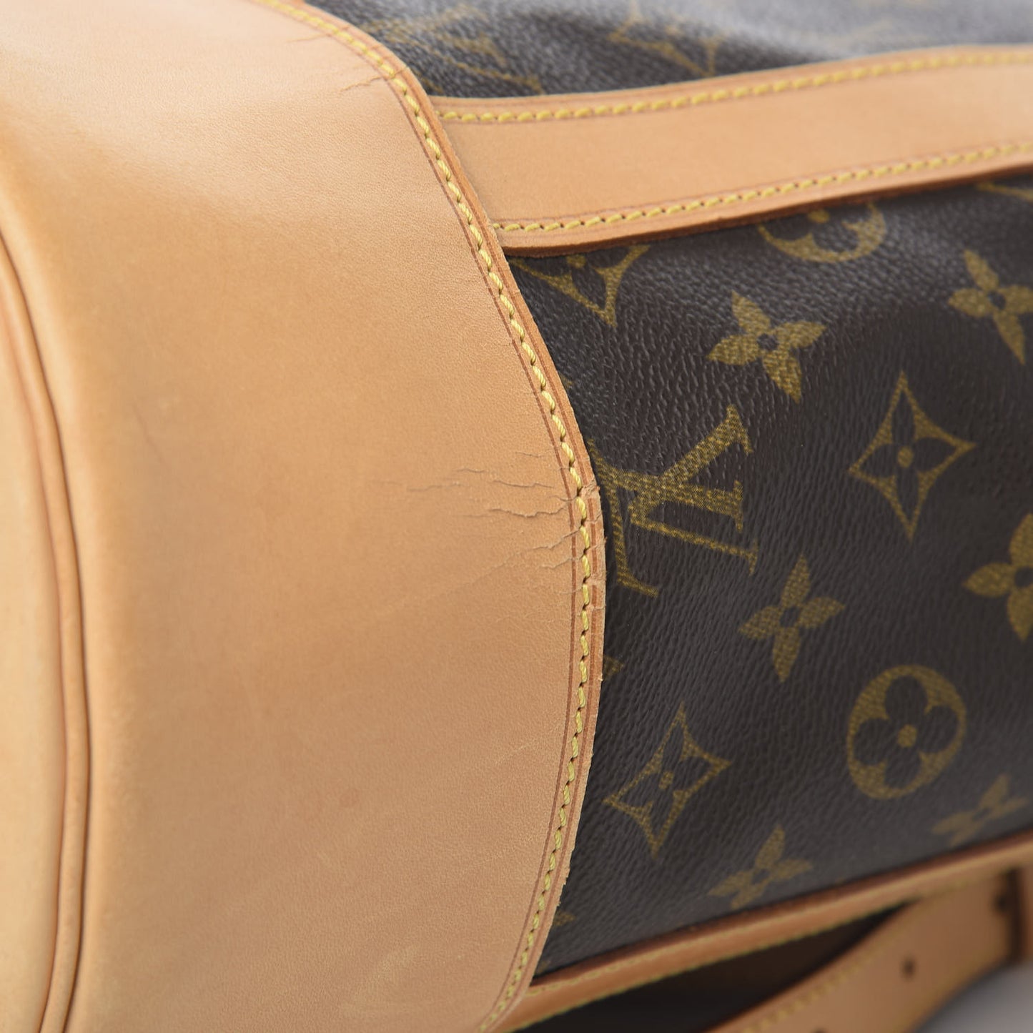Monogram Randonnee GM Backpack