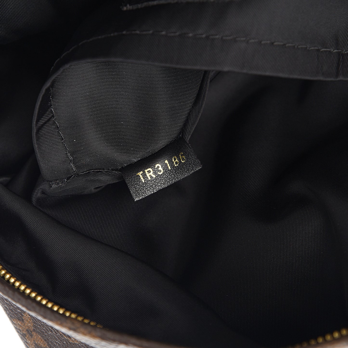 Monogram Palm Springs Backpack PM