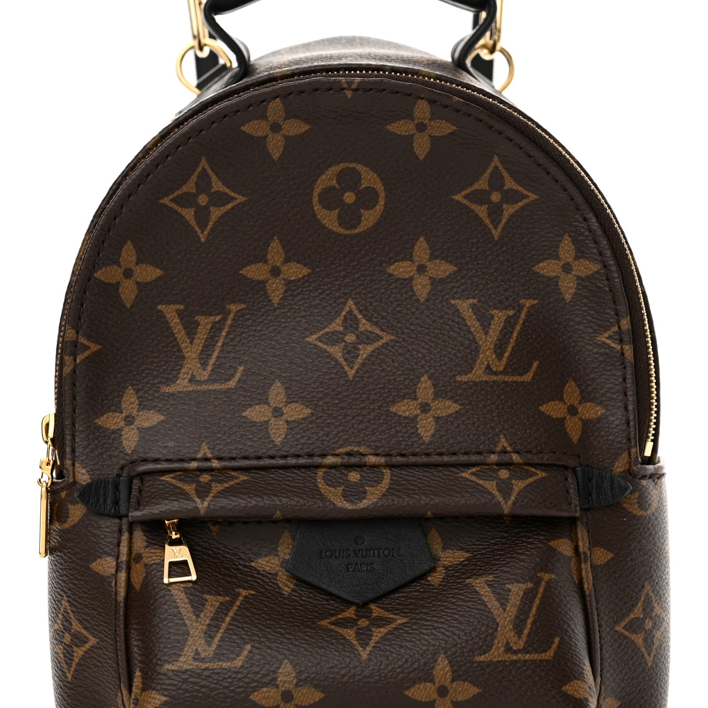 Monogram Palm Springs Backpack Mini